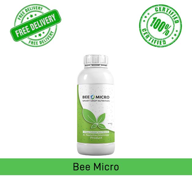 BEE-MICRO